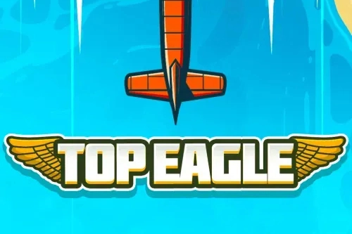 02531 top eagle
