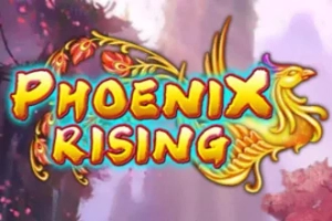12031 phoenix rising